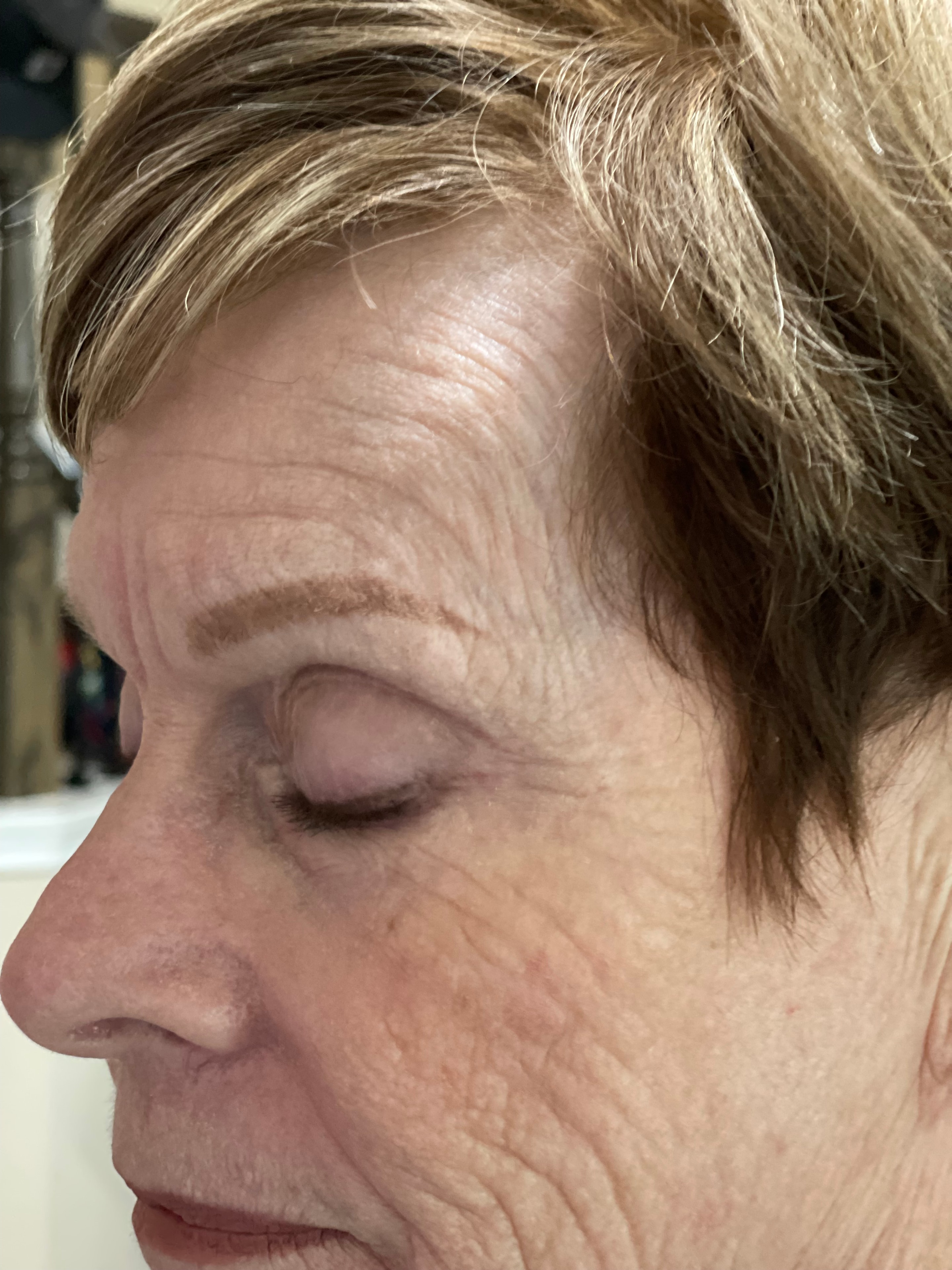 Soft powder brows — beautifully shaped and healed.